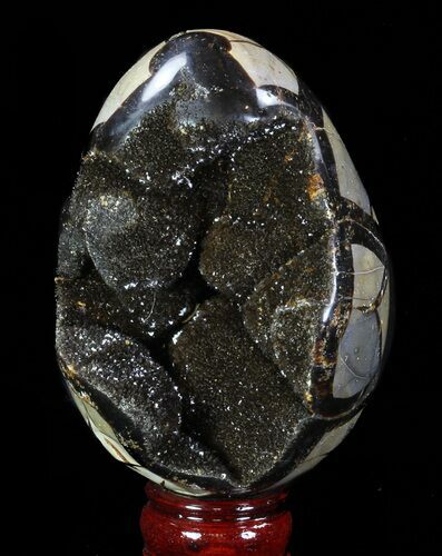 Bargain, Septarian Dragon Egg Geode - Black Crystals #88518